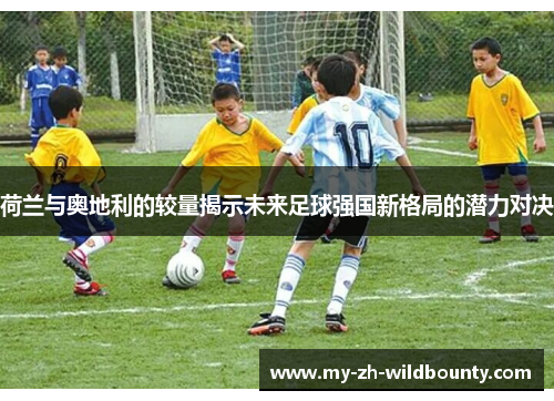 荷兰与奥地利的较量揭示未来足球强国新格局的潜力对决