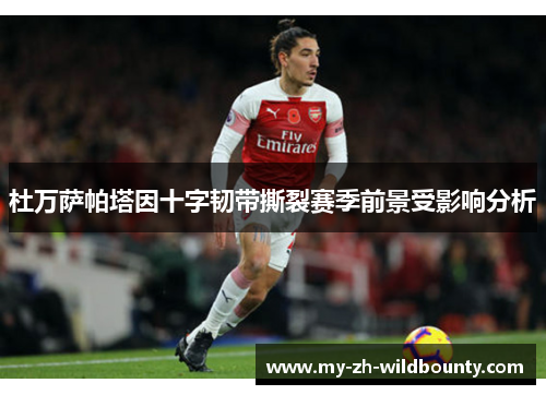 杜万萨帕塔因十字韧带撕裂赛季前景受影响分析