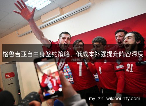 格鲁吉亚自由身签约策略，低成本补强提升阵容深度